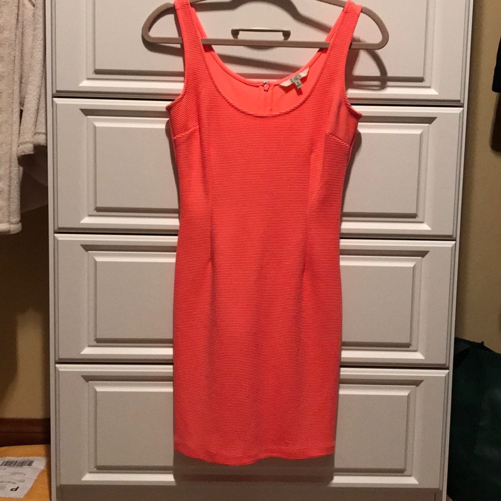 BB Dakota Dress 🍒